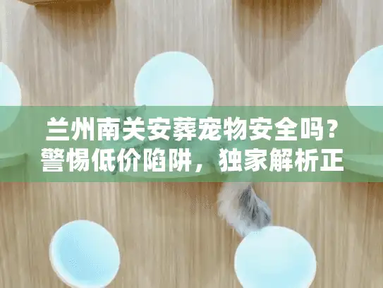 兰州南关安葬宠物安全吗？警惕低价陷阱，独家解析正规无害化处理