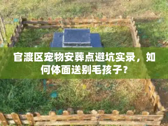 官渡区宠物安葬点避坑实录，如何体面送别毛孩子？
