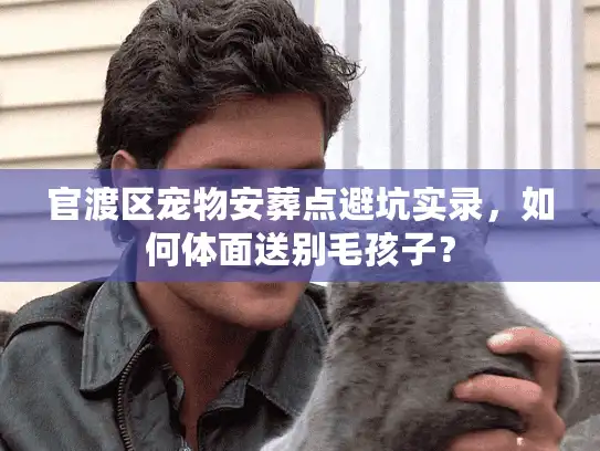 官渡区宠物安葬点避坑实录，如何体面送别毛孩子？