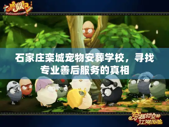 石家庄栾城宠物安葬学校，寻找专业善后服务的真相