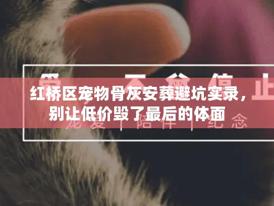 红桥区宠物骨灰安葬避坑实录，别让低价毁了最后的体面