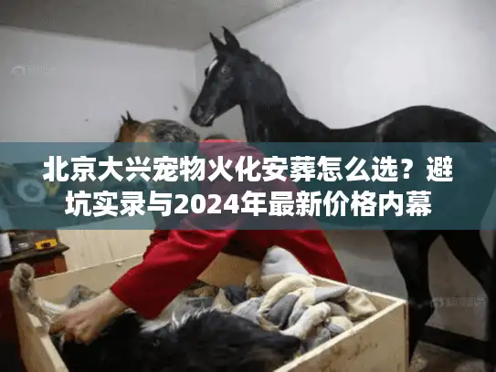 北京大兴宠物火化安葬怎么选？避坑实录与2024年最新价格内幕