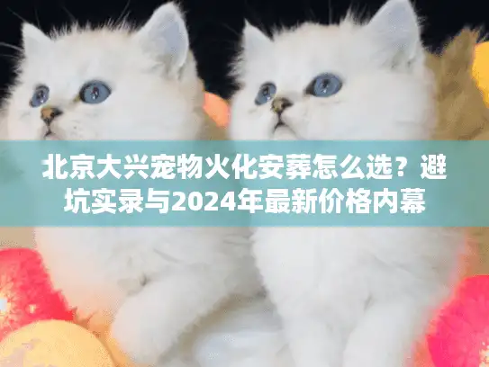 北京大兴宠物火化安葬怎么选？避坑实录与2024年最新价格内幕