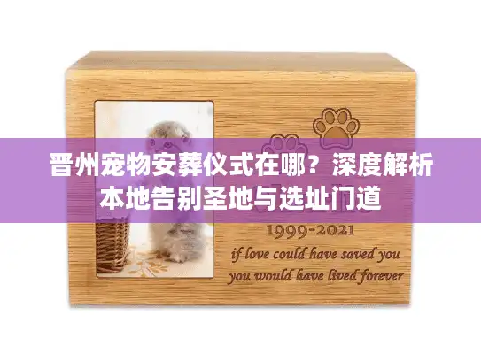 晋州宠物安葬仪式在哪？深度解析本地告别圣地与选址门道