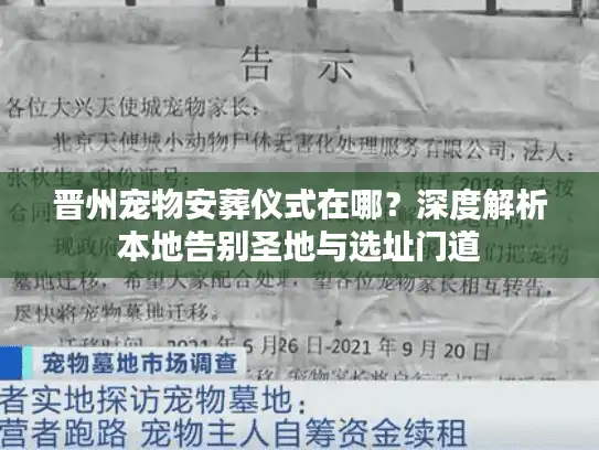 晋州宠物安葬仪式在哪？深度解析本地告别圣地与选址门道
