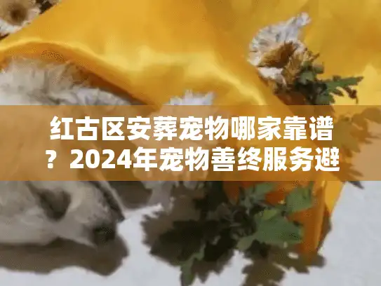 红古区安葬宠物哪家靠谱？2024年宠物善终服务避坑实录与价格内幕