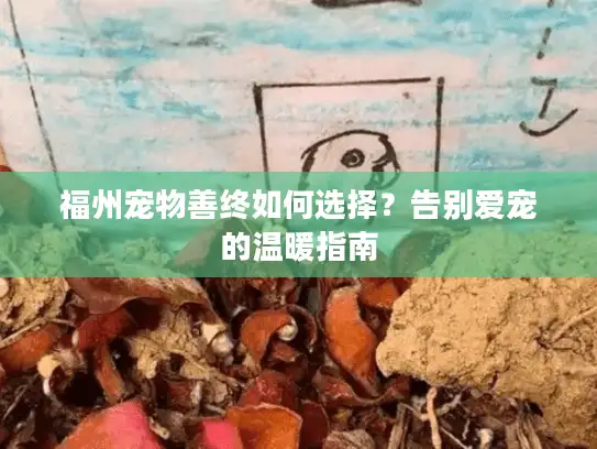福州宠物善终如何选择？告别爱宠的温暖指南