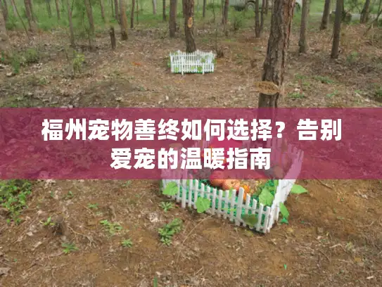 福州宠物善终如何选择？告别爱宠的温暖指南