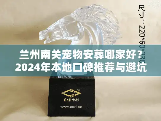 兰州南关宠物安葬哪家好？2024年本地口碑推荐与避坑实录