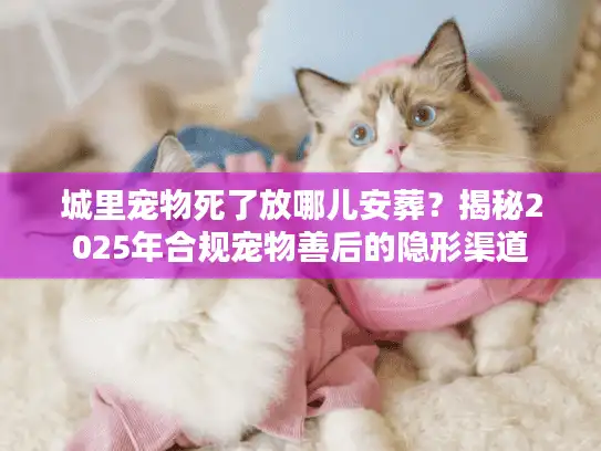 城里宠物死了放哪儿安葬？揭秘2025年合规宠物善后的隐形渠道