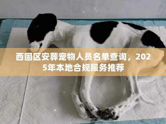 西固区安葬宠物人员名单查询，2025年本地合规服务推荐