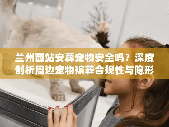 兰州西站安葬宠物安全吗？深度剖析周边宠物殡葬合规性与隐形坑点