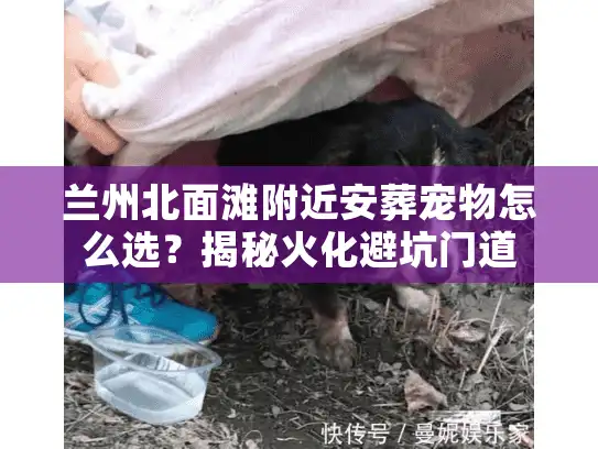 兰州北面滩附近安葬宠物怎么选？揭秘火化避坑门道