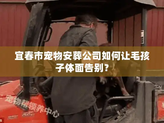 宜春市宠物安葬公司如何让毛孩子体面告别？