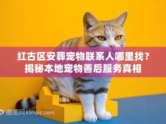 红古区安葬宠物联系人哪里找？揭秘本地宠物善后服务真相