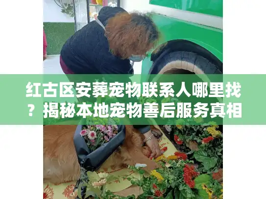 红古区安葬宠物联系人哪里找？揭秘本地宠物善后服务真相