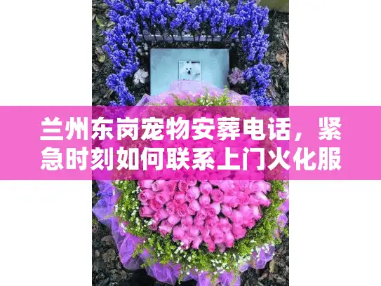 兰州东岗宠物安葬电话，紧急时刻如何联系上门火化服务？
