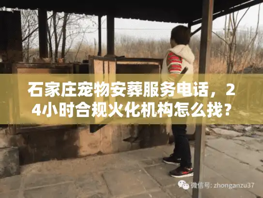 石家庄宠物安葬服务电话，24小时合规火化机构怎么找？