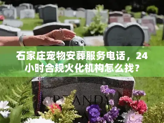 石家庄宠物安葬服务电话，24小时合规火化机构怎么找？