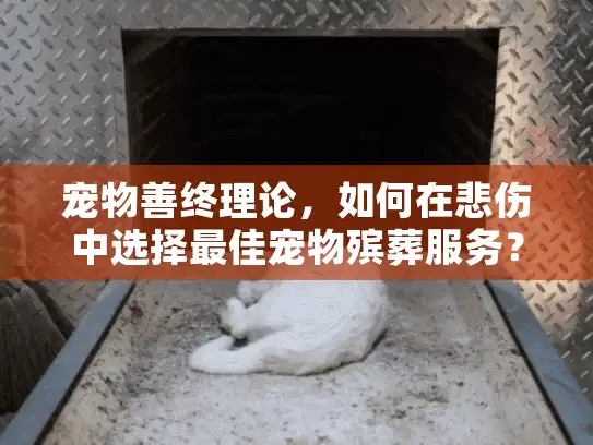 宠物善终理论，如何在悲伤中选择最佳宠物殡葬服务？