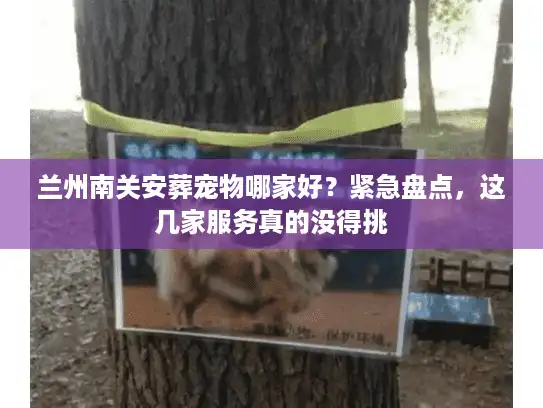 兰州南关安葬宠物哪家好？紧急盘点，这几家服务真的没得挑