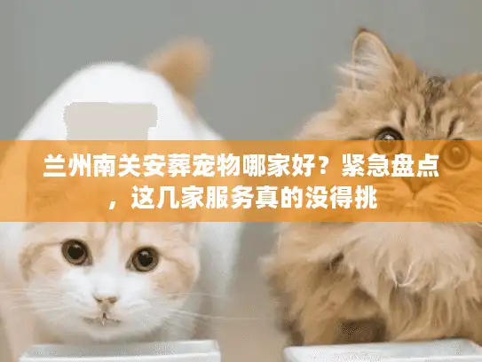 兰州南关安葬宠物哪家好？紧急盘点，这几家服务真的没得挑