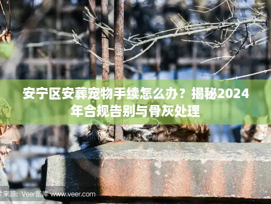 安宁区安葬宠物手续怎么办？揭秘2024年合规告别与骨灰处理