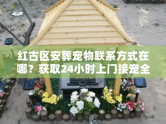 红古区安葬宠物联系方式在哪？获取24小时上门接宠全流程