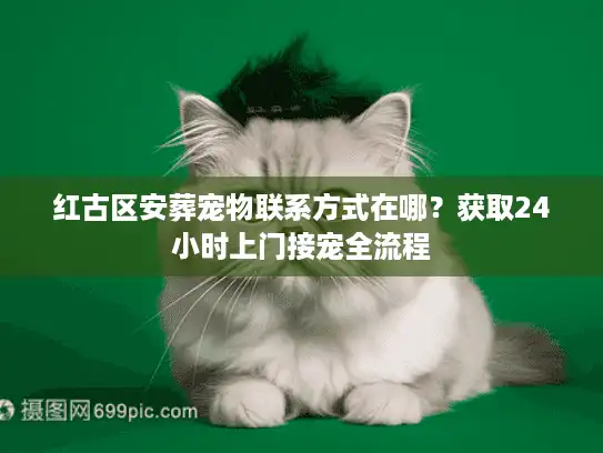 红古区安葬宠物联系方式在哪？获取24小时上门接宠全流程