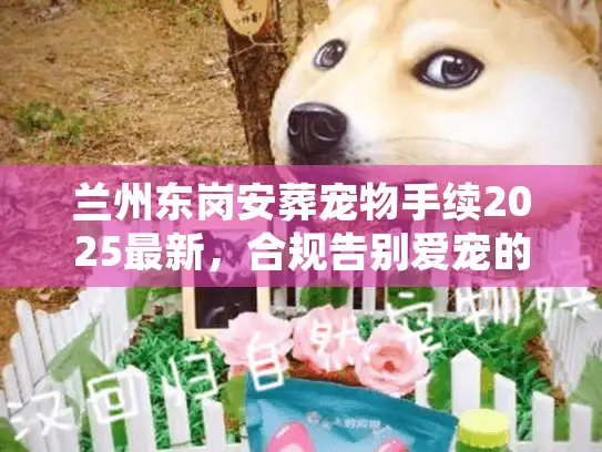 兰州东岗安葬宠物手续2025最新，合规告别爱宠的避坑实录