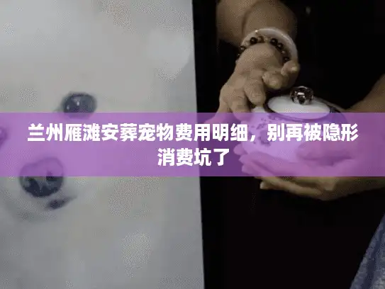 兰州雁滩安葬宠物费用明细，别再被隐形消费坑了
