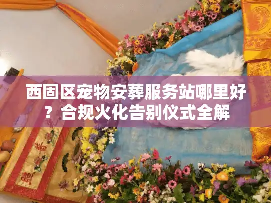 西固区宠物安葬服务站哪里好？合规火化告别仪式全解