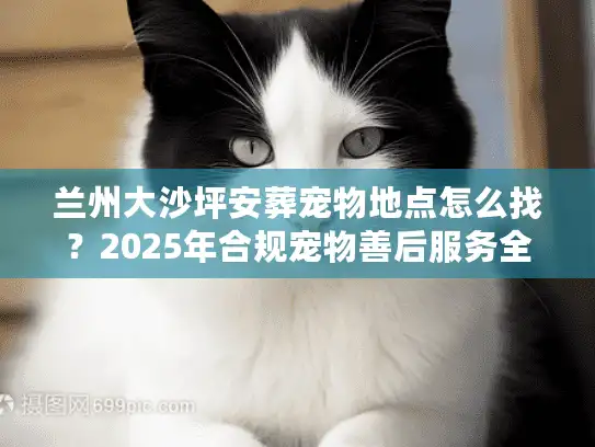 兰州大沙坪安葬宠物地点怎么找？2025年合规宠物善后服务全解析