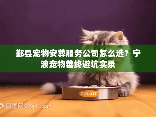 鄞县宠物安葬服务公司怎么选？宁波宠物善终避坑实录
