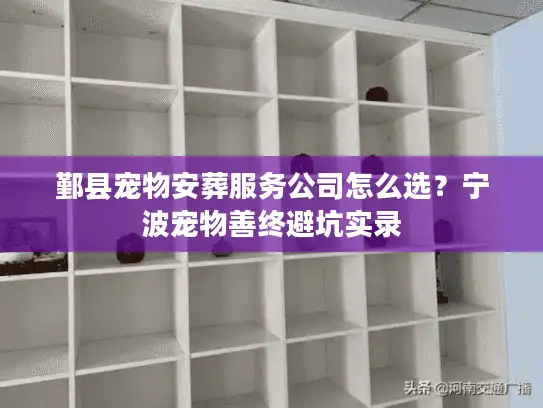 鄞县宠物安葬服务公司怎么选？宁波宠物善终避坑实录