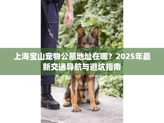 上海宝山宠物公墓地址在哪？2025年最新交通导航与避坑指南