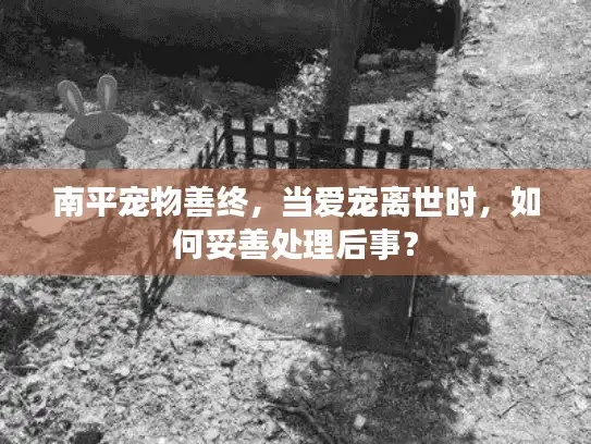 南平宠物善终，当爱宠离世时，如何妥善处理后事？