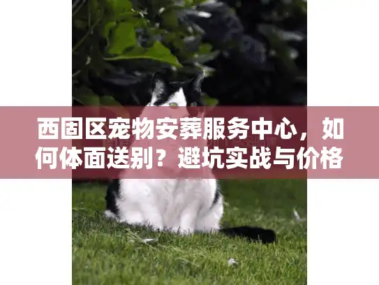 西固区宠物安葬服务中心，如何体面送别？避坑实战与价格揭秘
