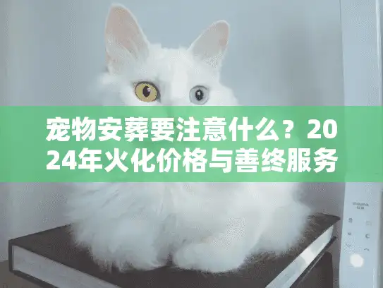 宠物安葬要注意什么？2024年火化价格与善终服务避坑