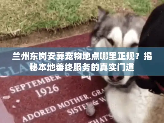 兰州东岗安葬宠物地点哪里正规？揭秘本地善终服务的真实门道