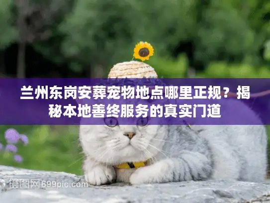 兰州东岗安葬宠物地点哪里正规？揭秘本地善终服务的真实门道
