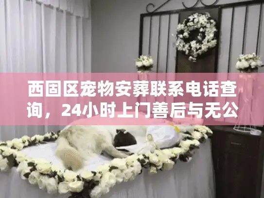 西固区宠物安葬联系电话查询，24小时上门善后与无公害处理全解