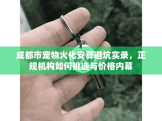 成都市宠物火化安葬避坑实录，正规机构如何挑选与价格内幕