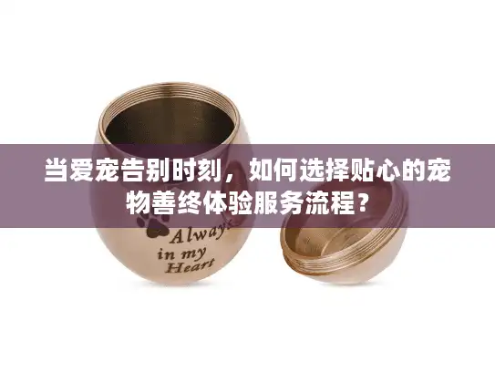 当爱宠告别时刻，如何选择贴心的宠物善终体验服务流程？