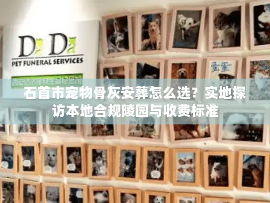 石首市宠物骨灰安葬怎么选？实地探访本地合规陵园与收费标准
