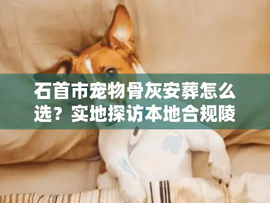石首市宠物骨灰安葬怎么选？实地探访本地合规陵园与收费标准