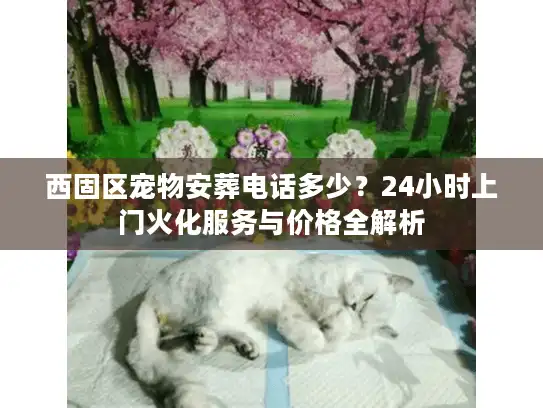 西固区宠物安葬电话多少？24小时上门火化服务与价格全解析