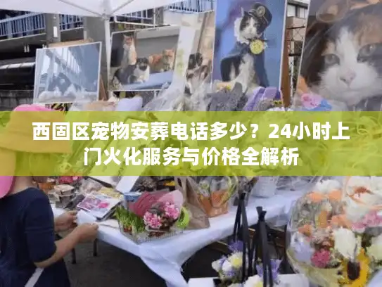 西固区宠物安葬电话多少？24小时上门火化服务与价格全解析