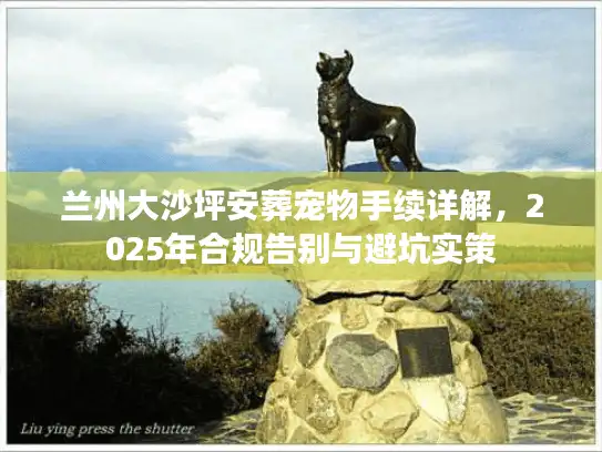 兰州大沙坪安葬宠物手续详解，2025年合规告别与避坑实策