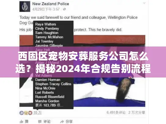 西固区宠物安葬服务公司怎么选？揭秘2024年合规告别流程